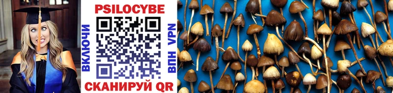 Псилоцибиновые грибы Cubensis  купить наркотик  Сочи 